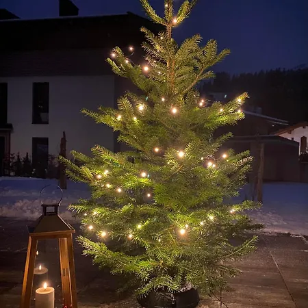 Appartement Bergfieber